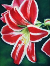 Robin Fourie
